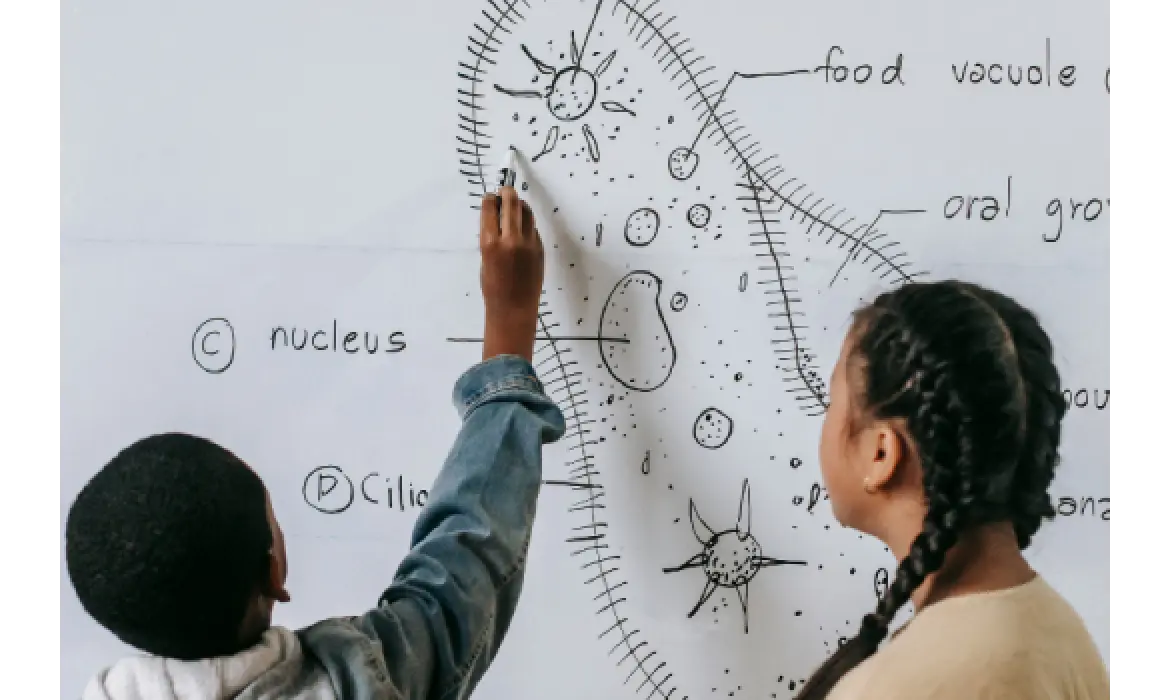 Lise Okula Hazırlık