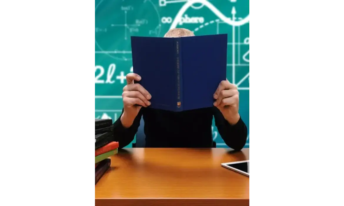 Online / Hibrit Programlar